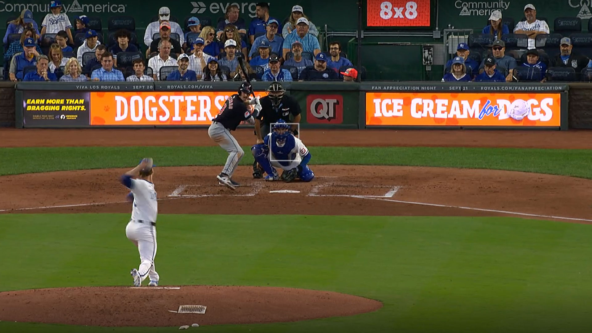 Dogsters stadium setup