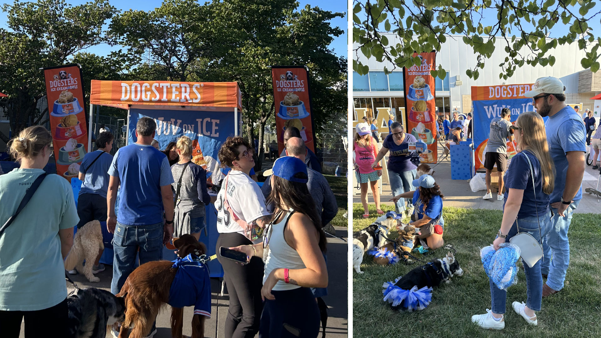 Dogsters park activation