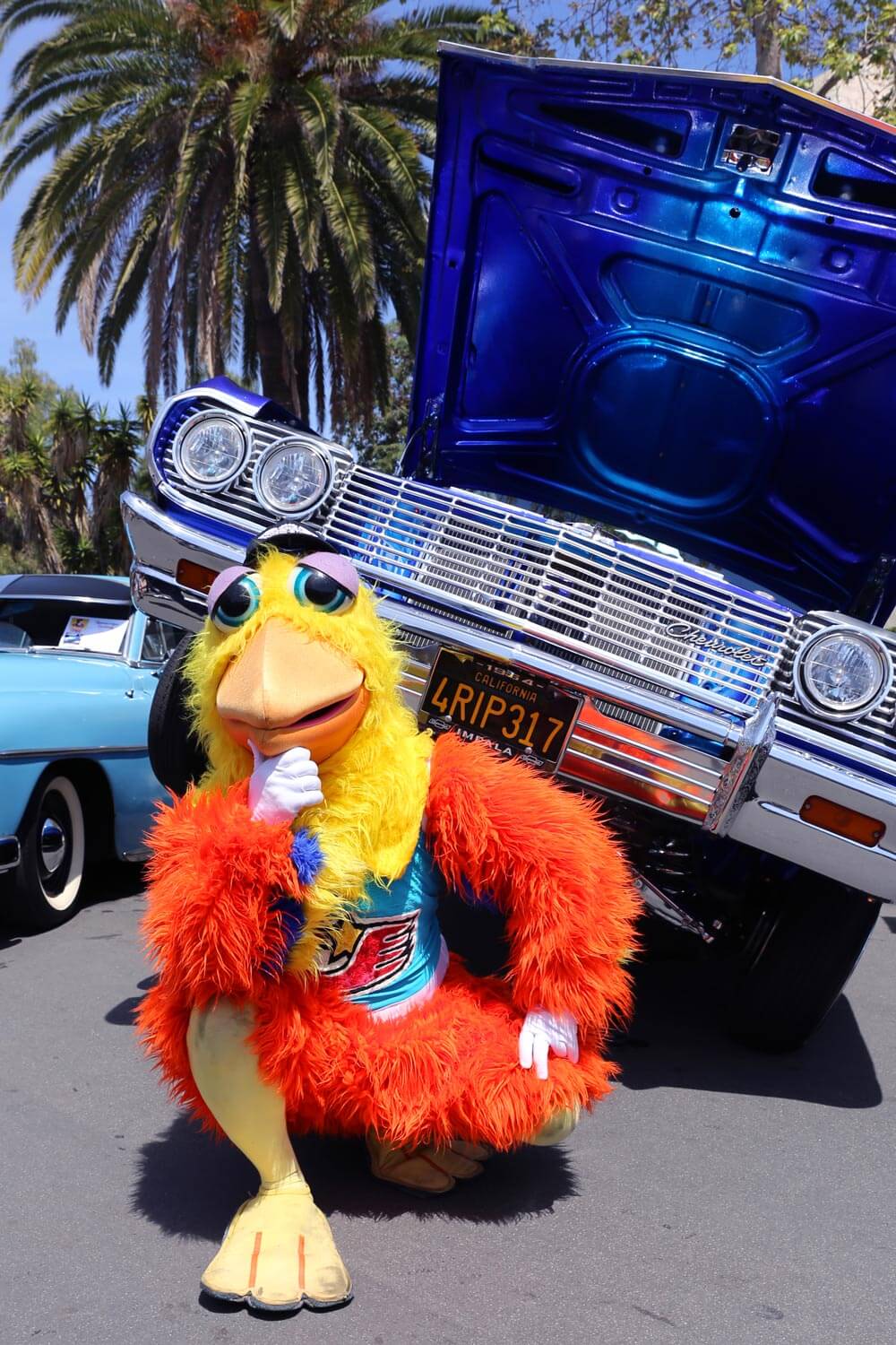 Wingstop fan engagement